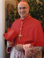 Cardinal Tarcisio Bertone