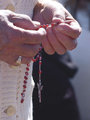 Rosarium Virginis Mariae Most Holy Rosary