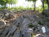Rocky terain near the top of Podbrdo